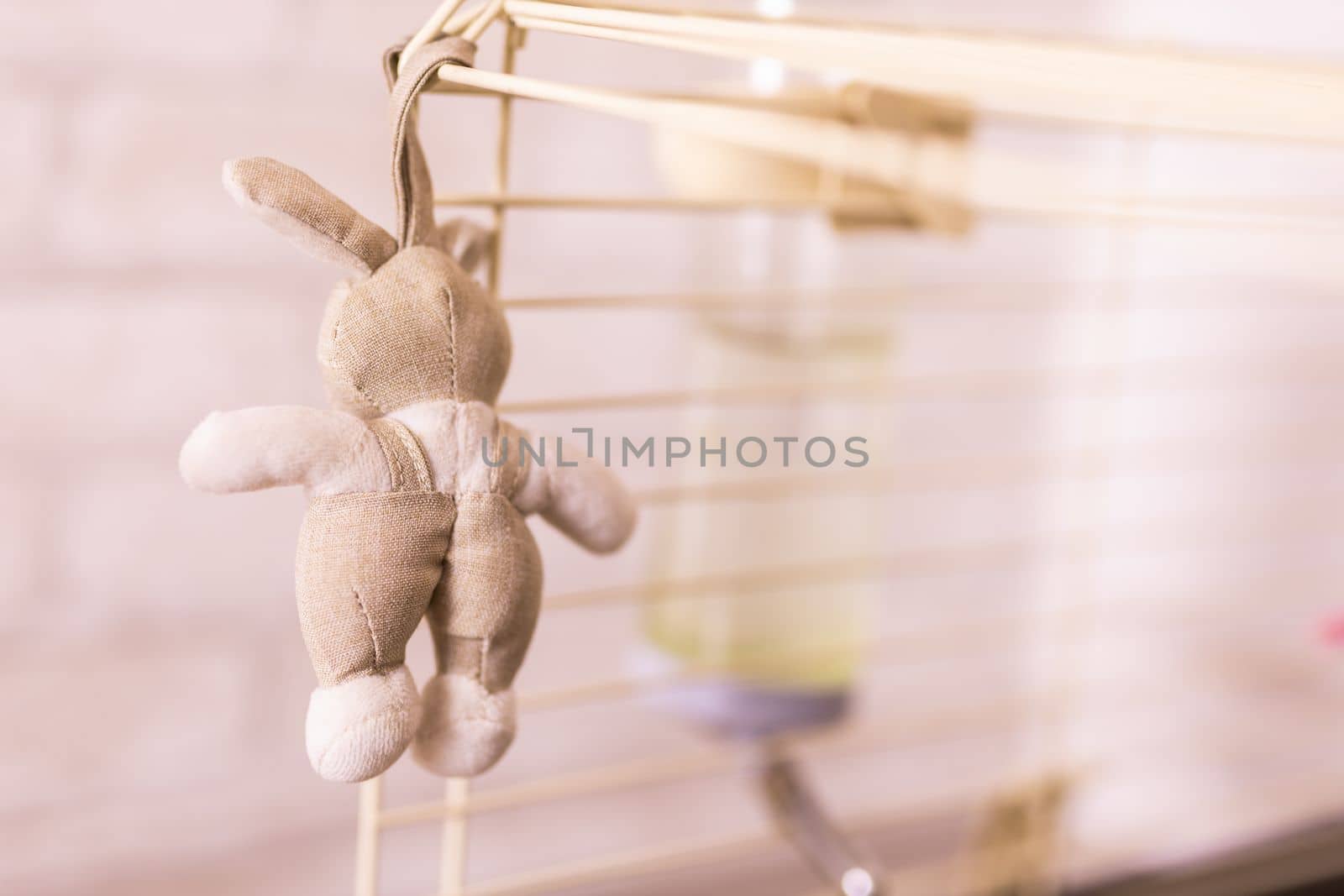 Beige rabbit doll in cage copy space - accessories and toys for pets and birds by Satura86