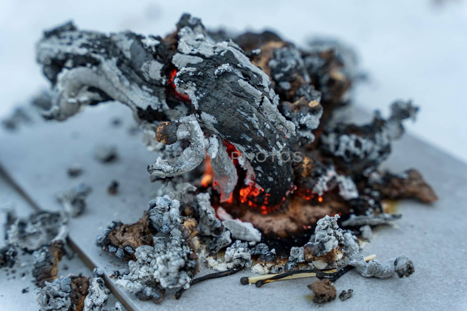 chemical experiment with urotropin and calcium gluconate ash dragon. ash tree. the ash snake. Pharaoh's snake. gorenje, flame and fire