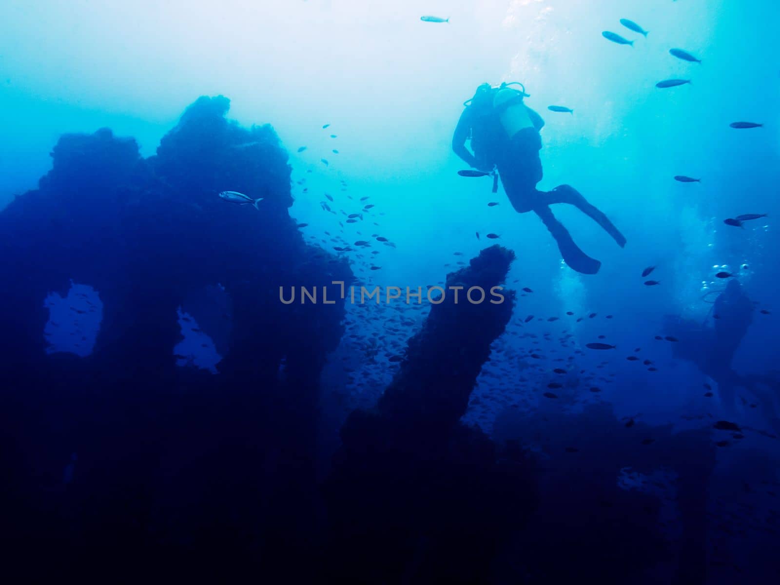Some people dive peacefully on the old remains of a sunken ship. Hundreds of fish surround the mysterious wreck that rests at the bottom of a turbid blue sea