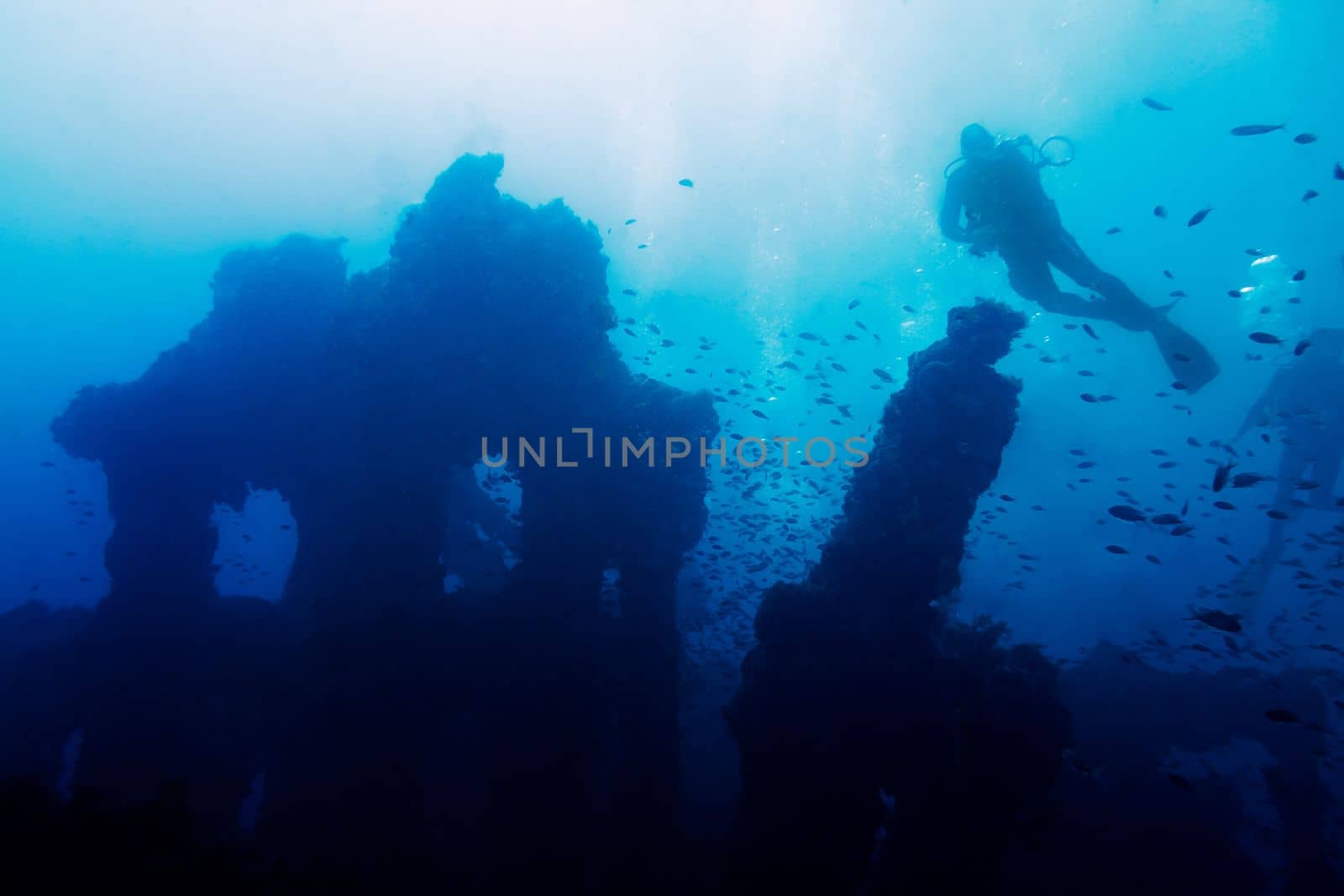 a person dives placidly on the old remains of a sunken ship. Hundreds of fish surround the mysterious wreck that rests at the bottom of a turbid blue sea