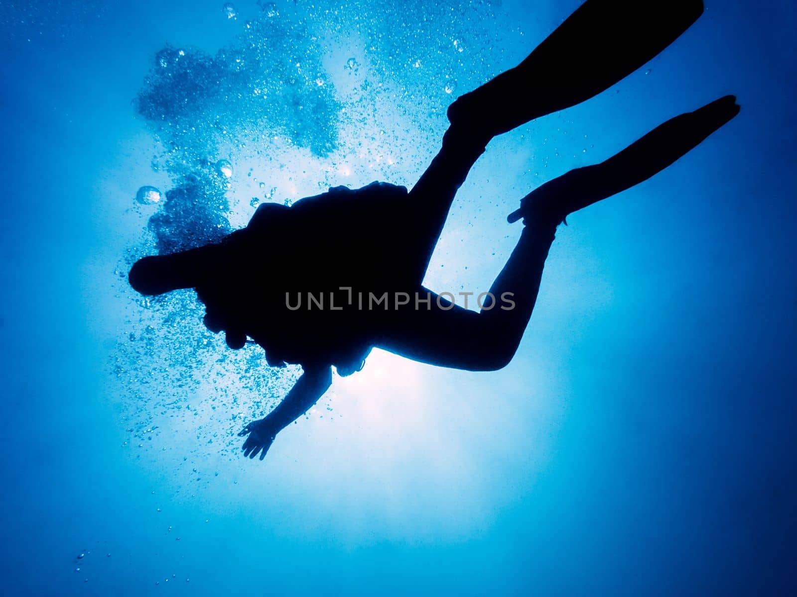 silhouette of a person diving relaxed in the blue sea viewed from below, the scuba diver is silhouetted against the sunlight, the bubbles of his breath rise through the clean and crystal clear water