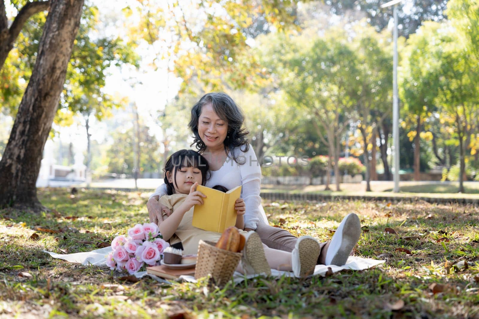 Happy Asian grandmother telling story, reading fairly tales to her adorable granddaughter while picnicking in the beautiful park on the weekend together
