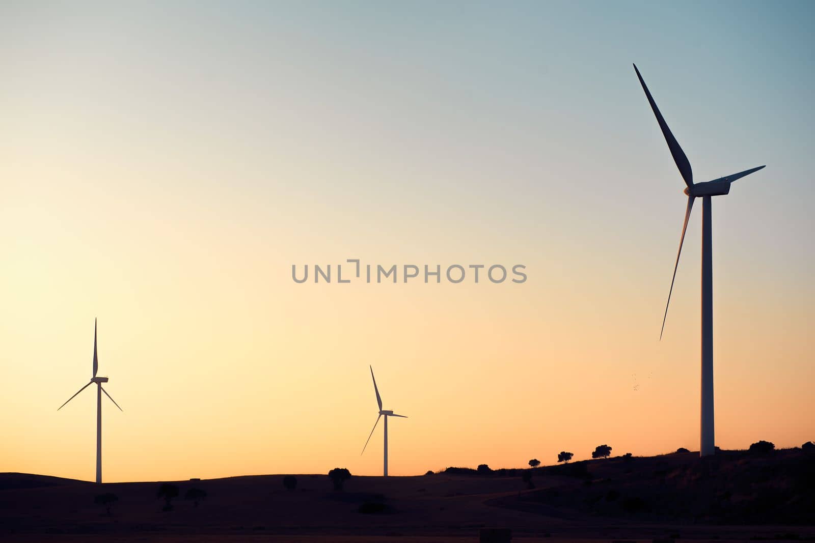Silhouette of three windmills producing green energy in a wind farm at sunset. They are in a rural environment surrounded by crops and trees, the sky is clean and clear. Copy space