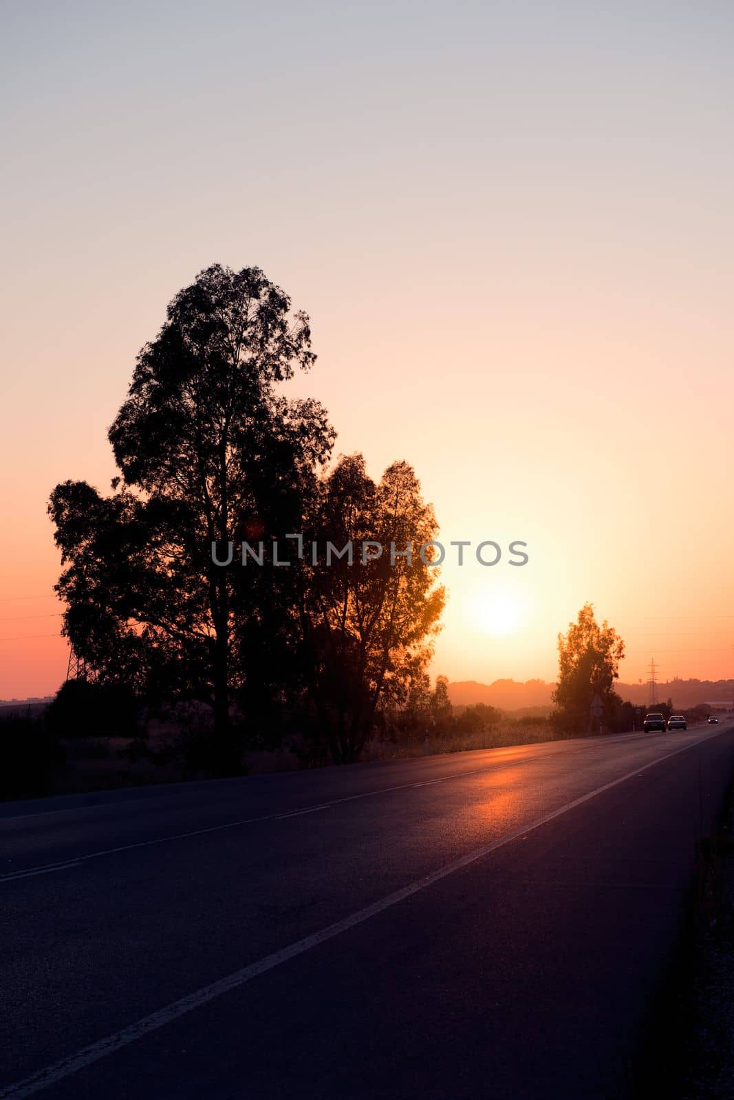 Sunlight is reflected at sunset on a county road, the trees in the ditch are seen in silhouette and in the distance you can see a car circulating on the asphalt