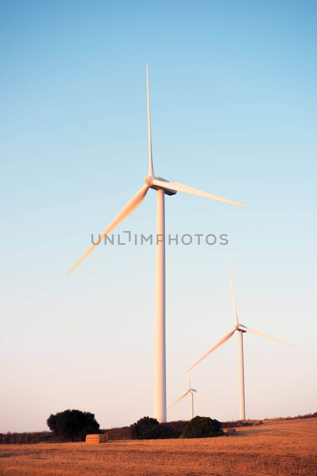 vertical photo of three windmills on a small hill producing clean energy in a wind farm at sunset. It is in a rural environment surrounded by crops and nature, the sky is clean and clear. Copy space