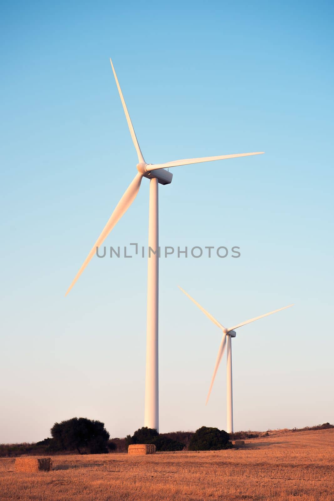 vertical photo of two windmills on a small hill producing clean energy in a wind farm at sunset. It is in a rural environment surrounded by crops and nature, the sky is clean and clear. Copy space