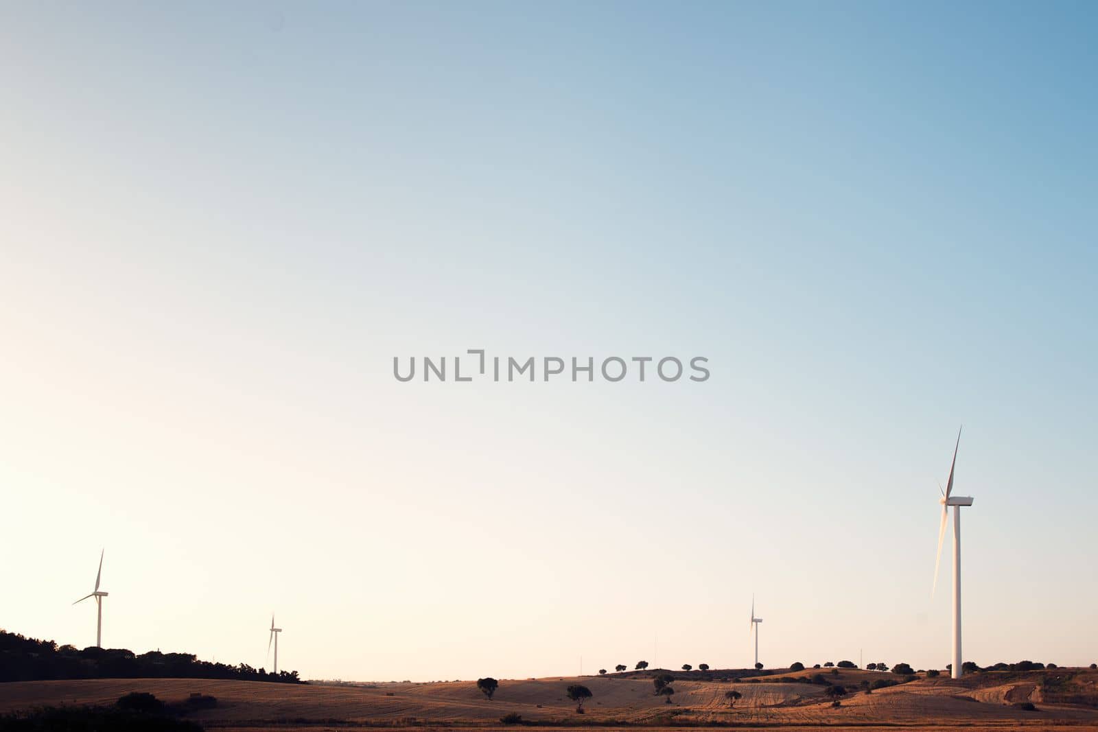 Four windmills produce clean energy in a wind farm at dusk. They are in a rural environment surrounded by crops and trees, the sky is clean and clear. Copy space