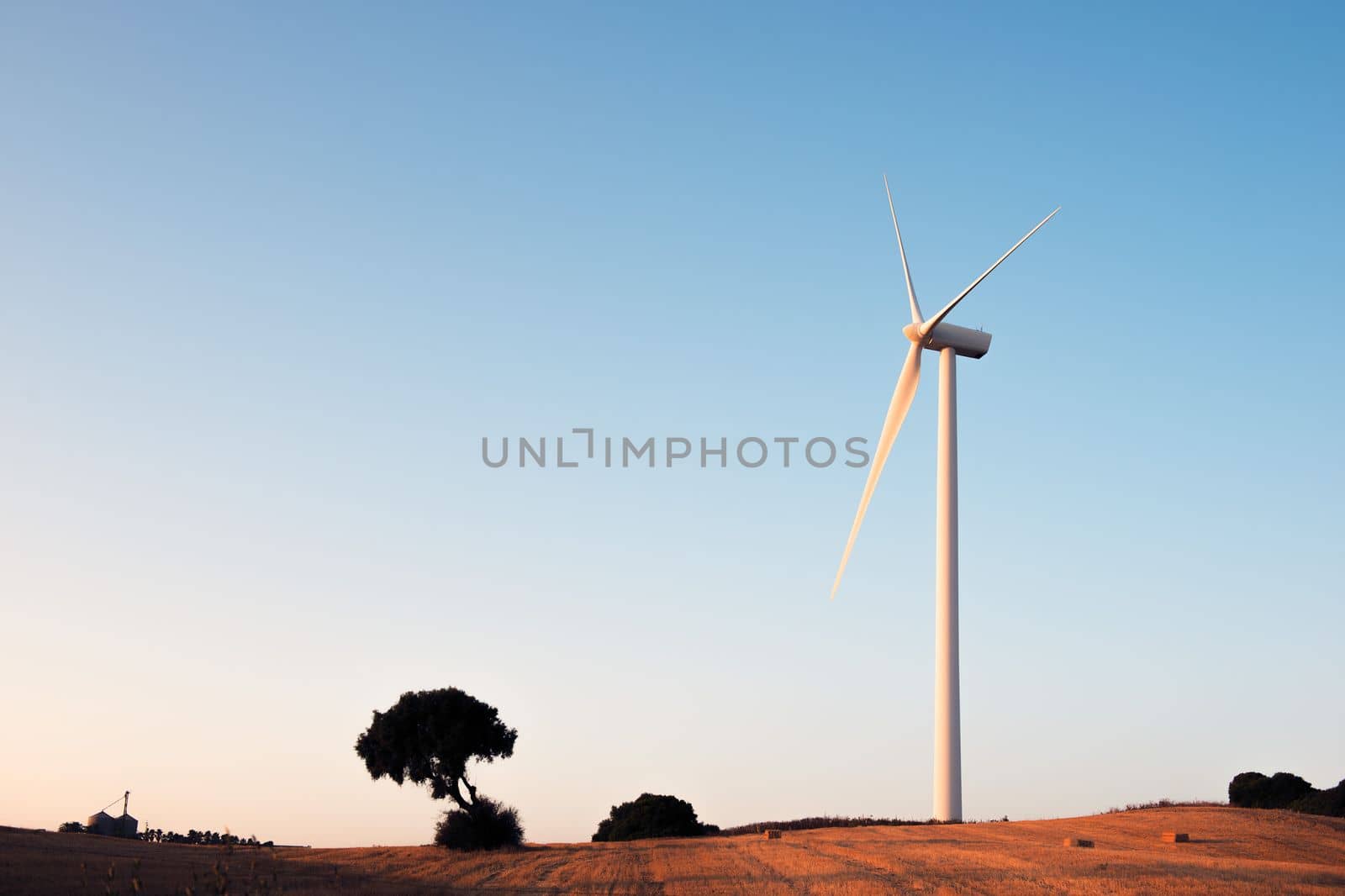 Windmill producing clean energy in a wind farm at sunset. It is in a rural environment surrounded by crops and nature, the sky is clean and clear. Copy space