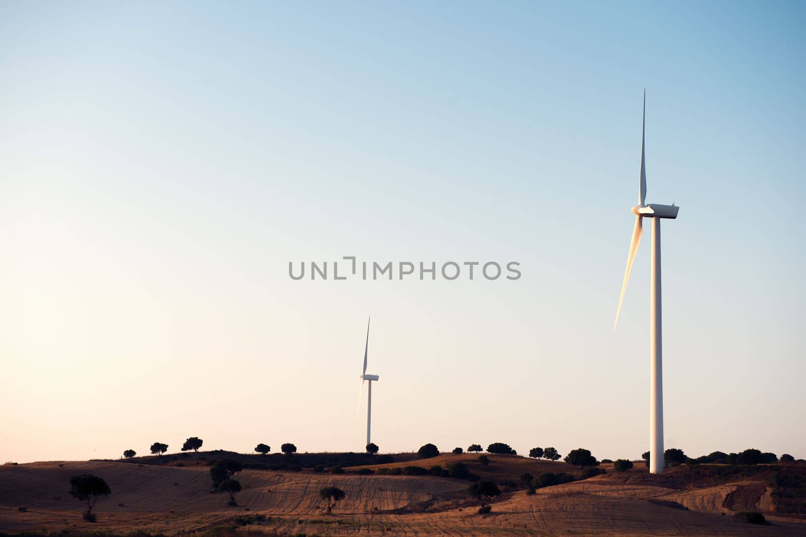 Two windmills produce clean energy in a wind farm at dusk. They are in a rural environment surrounded by crops and trees, the sky is clean and clear. Copy space