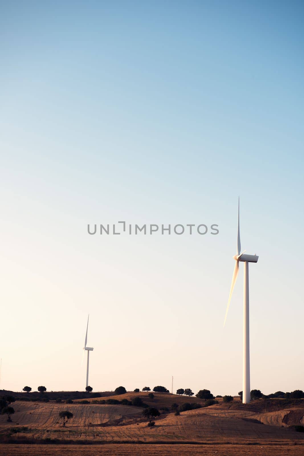 Two windmills produce clean energy in a wind farm at dusk. They are in a rural environment surrounded by crops and trees, the sky is clean and clear. Copy space. Vertical photo