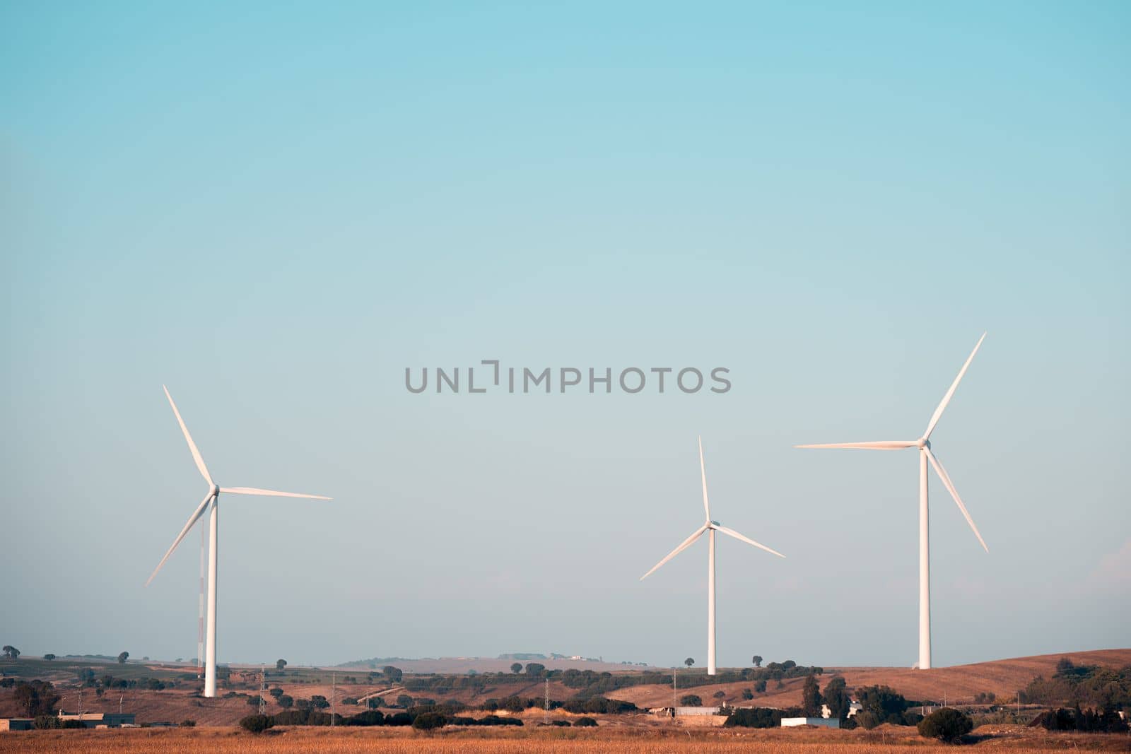 three windmills produce clean energy in a wind farm. They are in a rural environment surrounded by crops and trees, the sky is clean and clear. Copy space