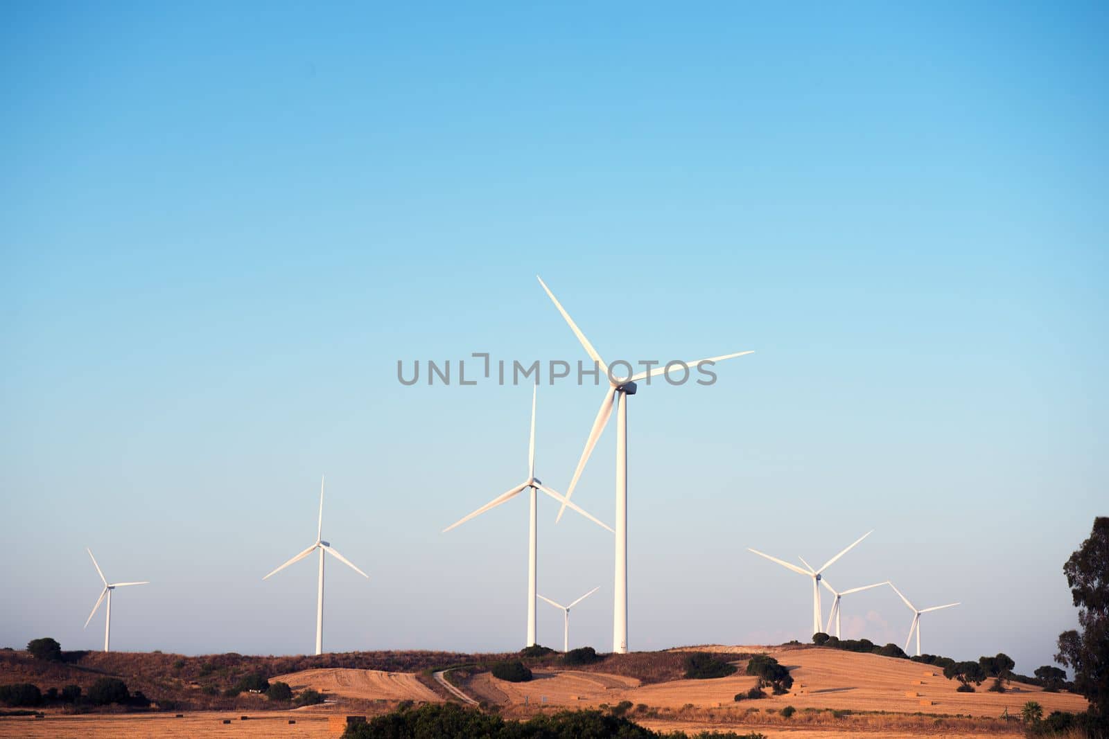 set of windmills produce clean energy in a wind farm. They are in a rural environment surrounded by crops and trees, the sky is clean and clear. Copy space