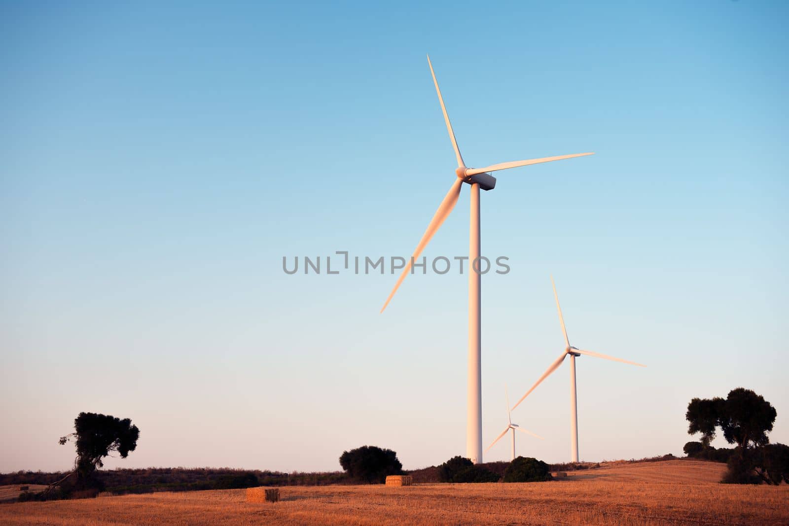 Three windmills on a small hill producing clean energy in a wind farm at sunset. It is in a rural environment surrounded by crops and nature, the sky is clean and clear. Copy space