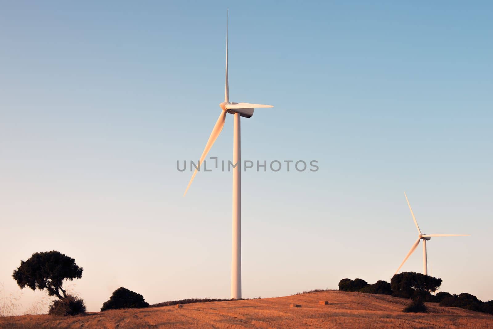 Two windmills on a small hill producing clean energy in a wind farm at sunset. It is in a rural environment surrounded by crops and nature, the sky is clean and clear. Copy space
