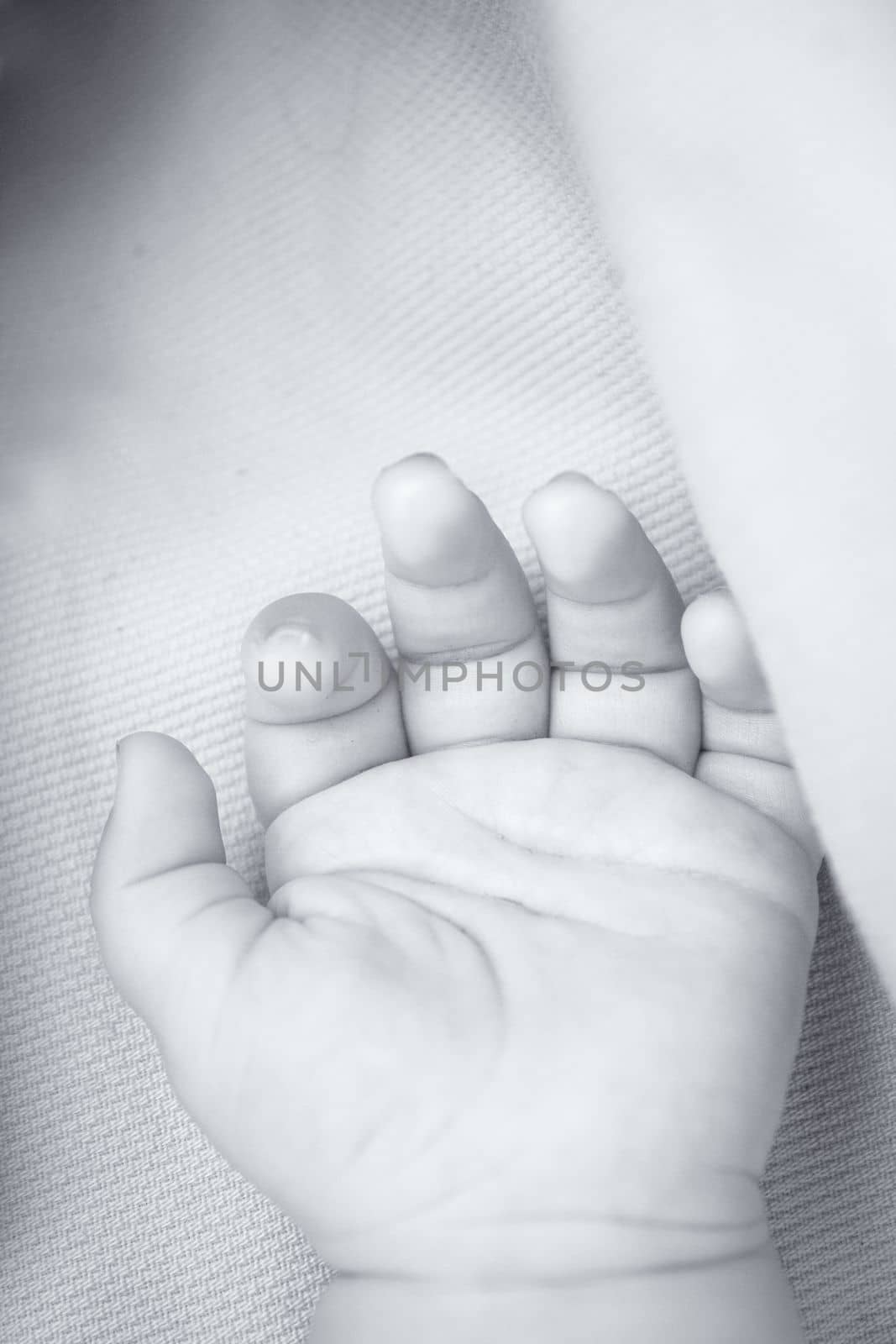 Two month old baby hand. Blue background