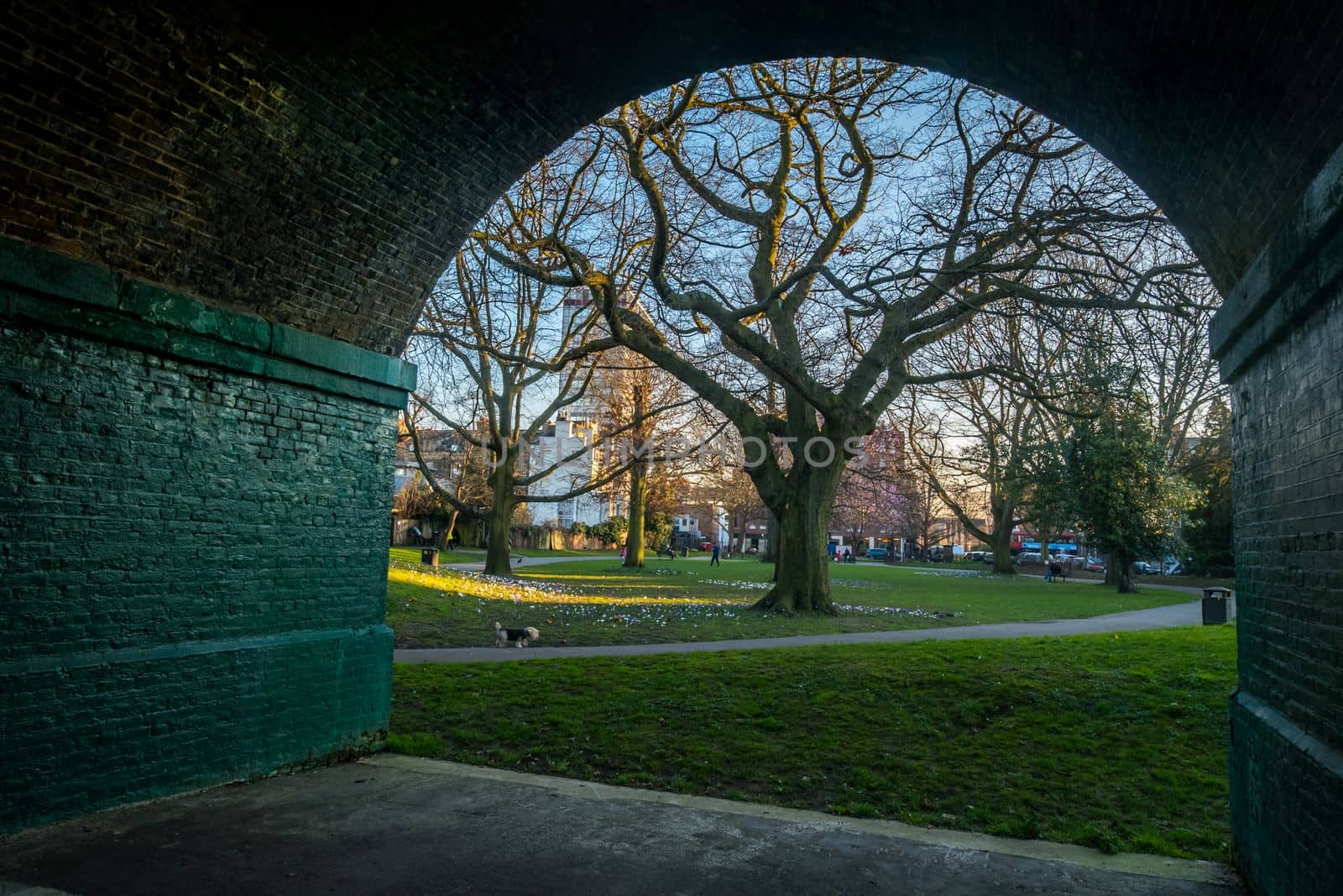 London, UK- Feb 24, 2019 : Big tree looking through the tunnel. Ravenscourt park.