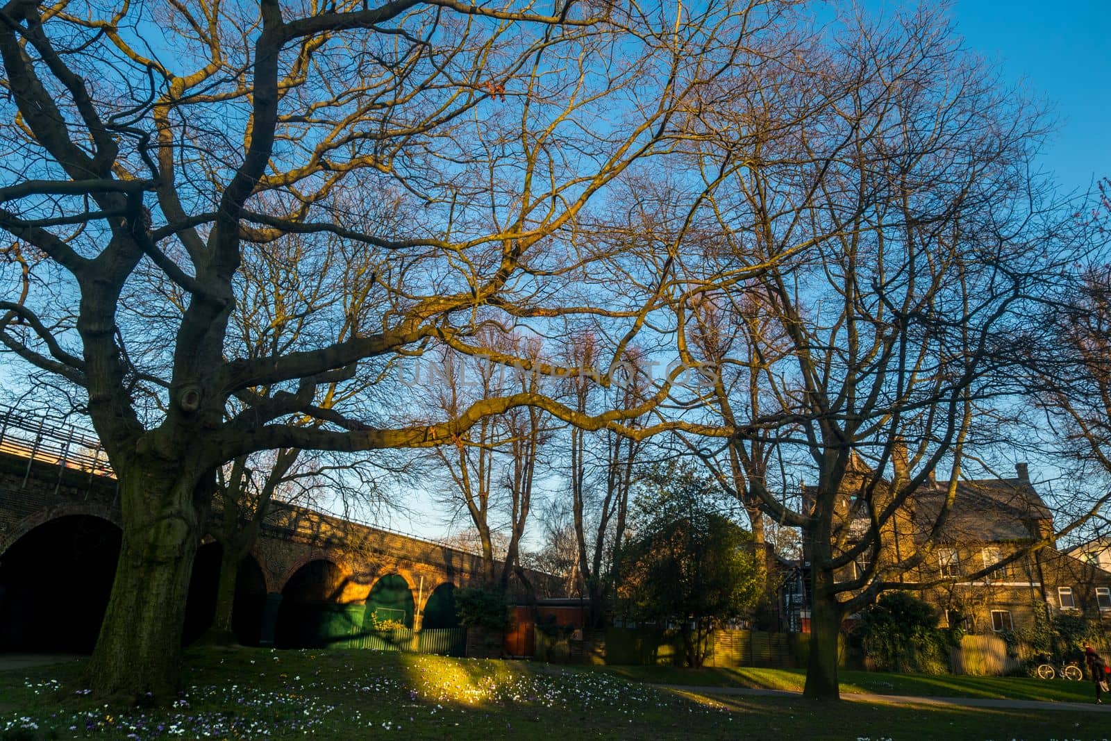 London, UK- Feb 24, 2019 : A view in Ravenscourt Park with autumn leaves and green grass. Stroll in the sun. Autumn background concept