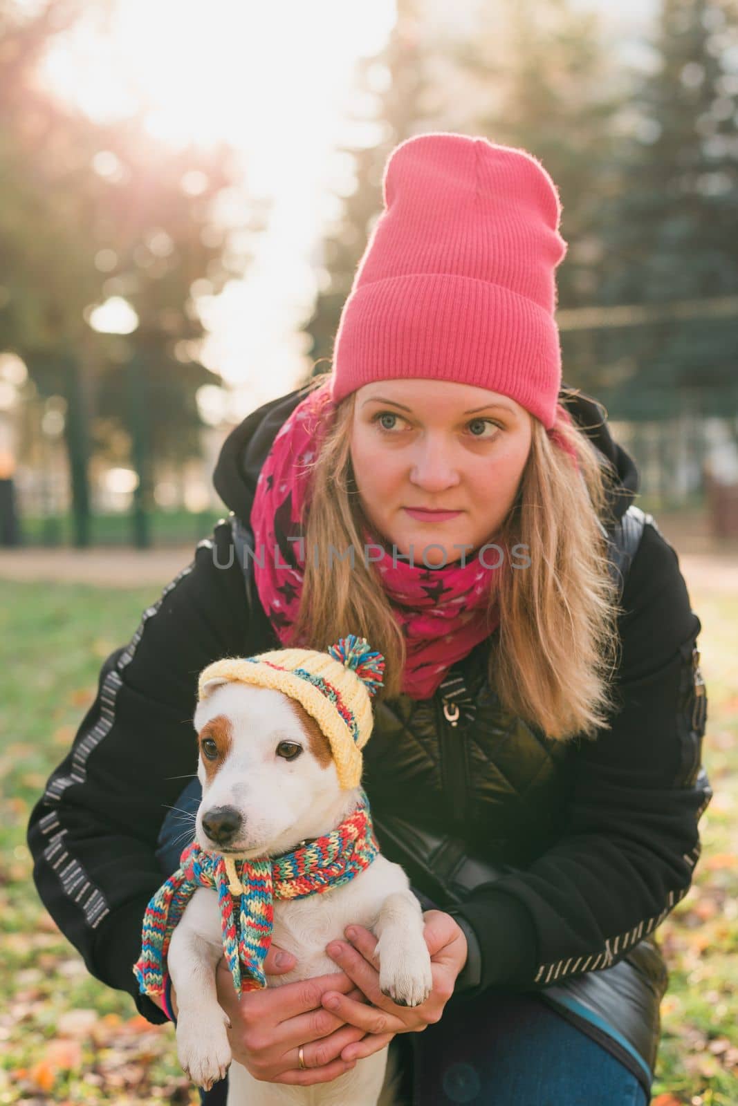 Portrait woman pet owner walking dog jack russell terrier in funny clothes on street outdoors. Pet care concept by Satura86