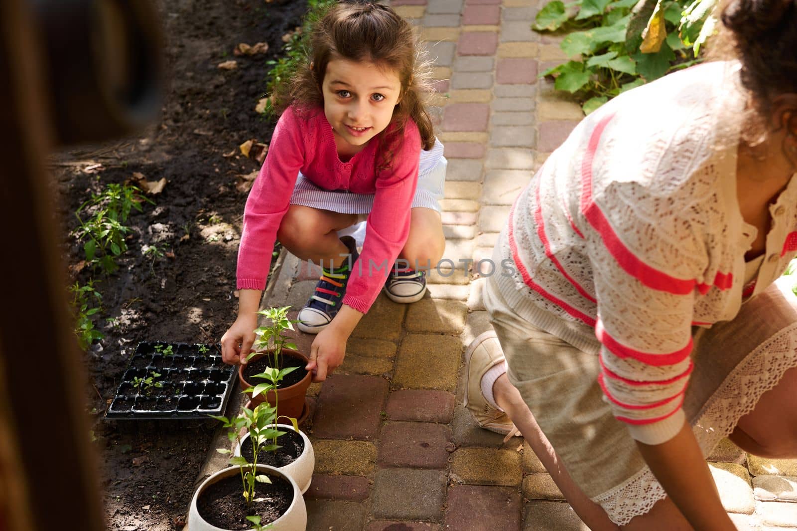 Charming baby girl holding a clay pot with growing seedlings of young pepper, smiles cutely looking at camera while helping her mom on gardening in an early spring day. Planting season. Springtime