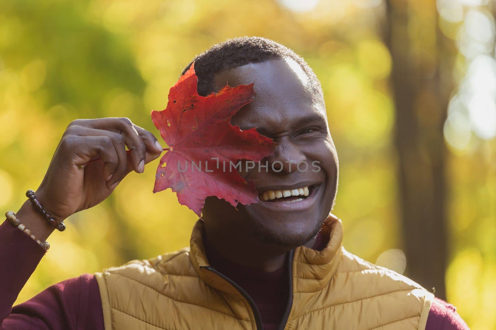 Portrait of african american man covering his face with autumn maple leaf. Autumn nature. Seasonal fashion.