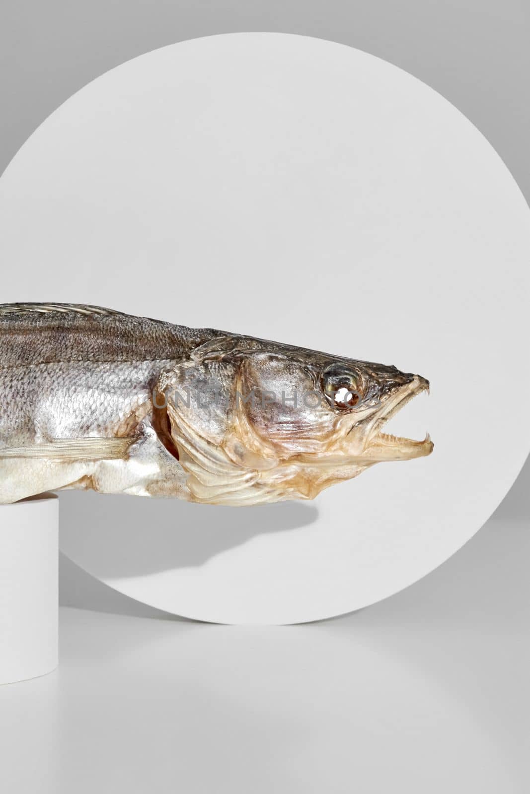 Closeup of air-dried pike perch lying on cylindrical stand on light gray circle background, cropped shot. Showcase for presentation of popular fish snack