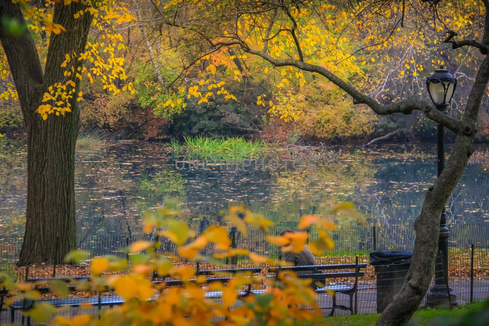 Central park in New York City Manhattan at golden autumn morning , United States