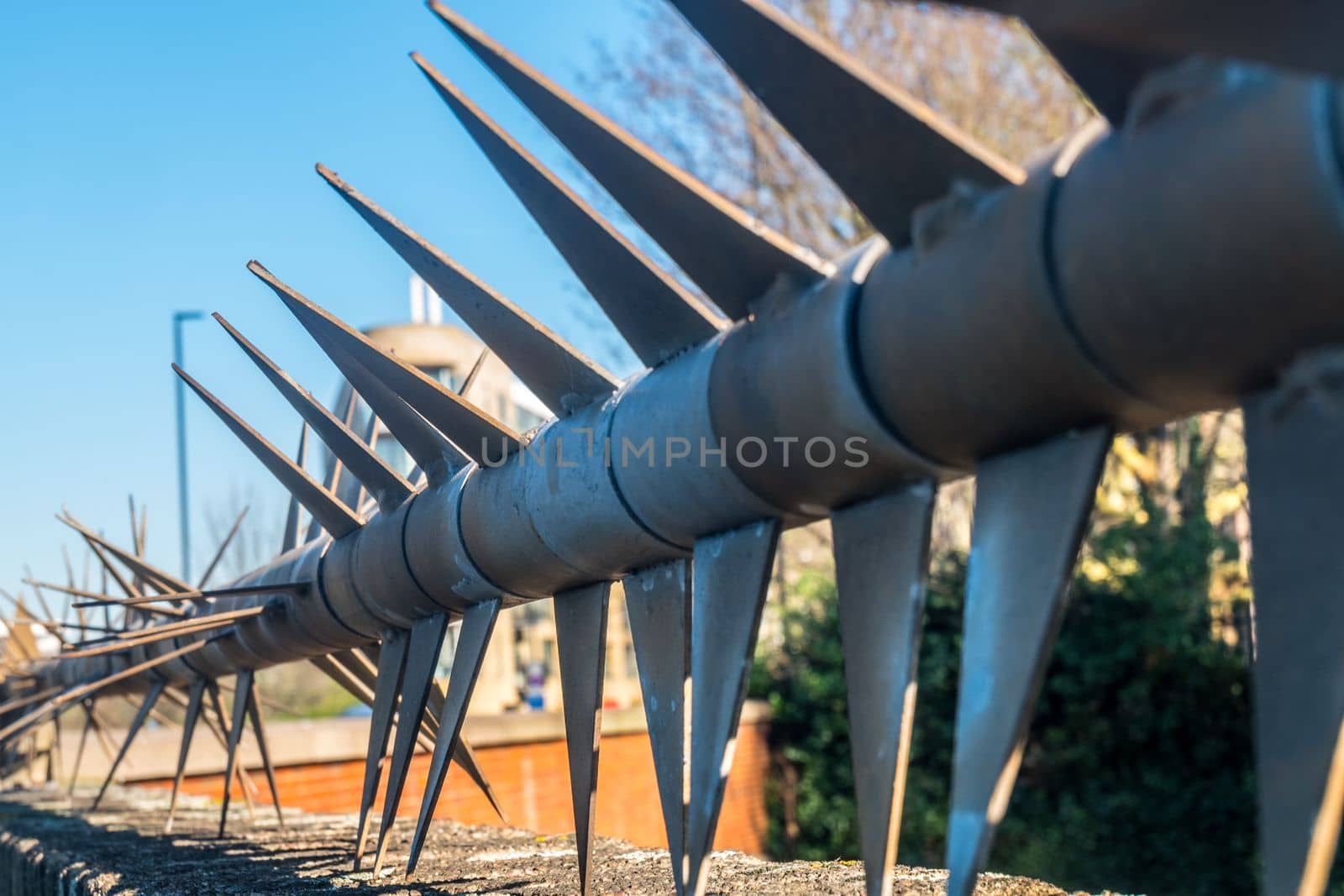Steel security fence with large spines