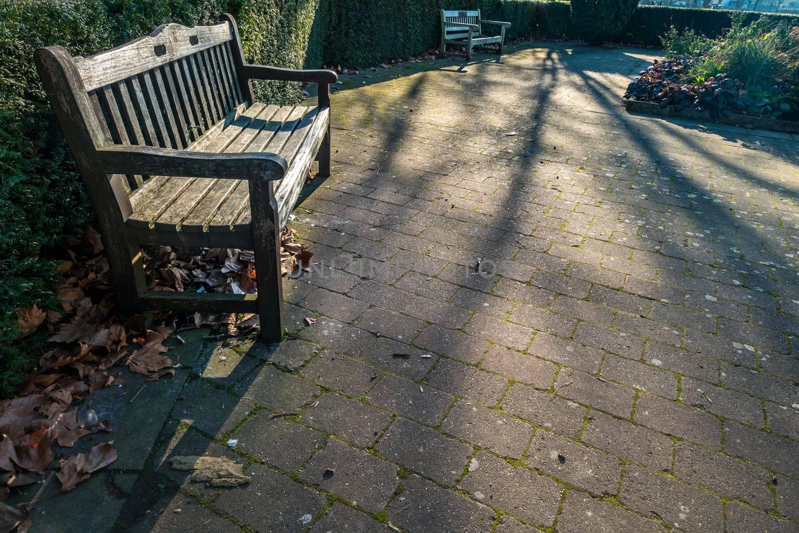 Antique wooden chairs in the garden The concept of relaxing in the afternoon garden
