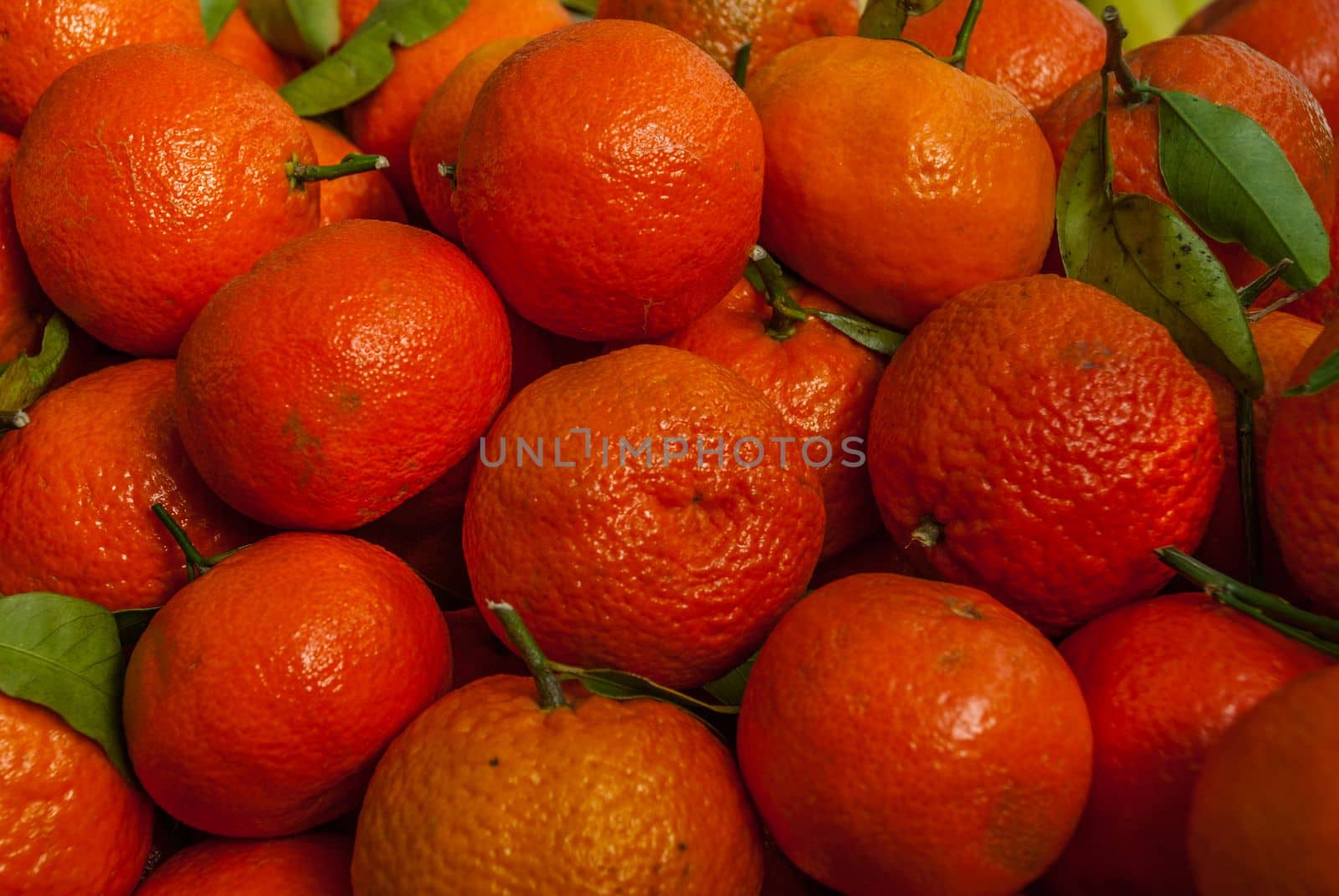 Close-up photos of mandarin orange from the garden Suitable for making background images