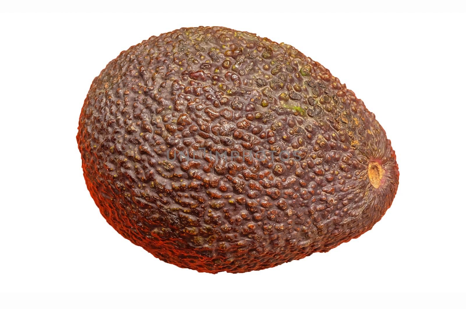 avocado isolated on white background.