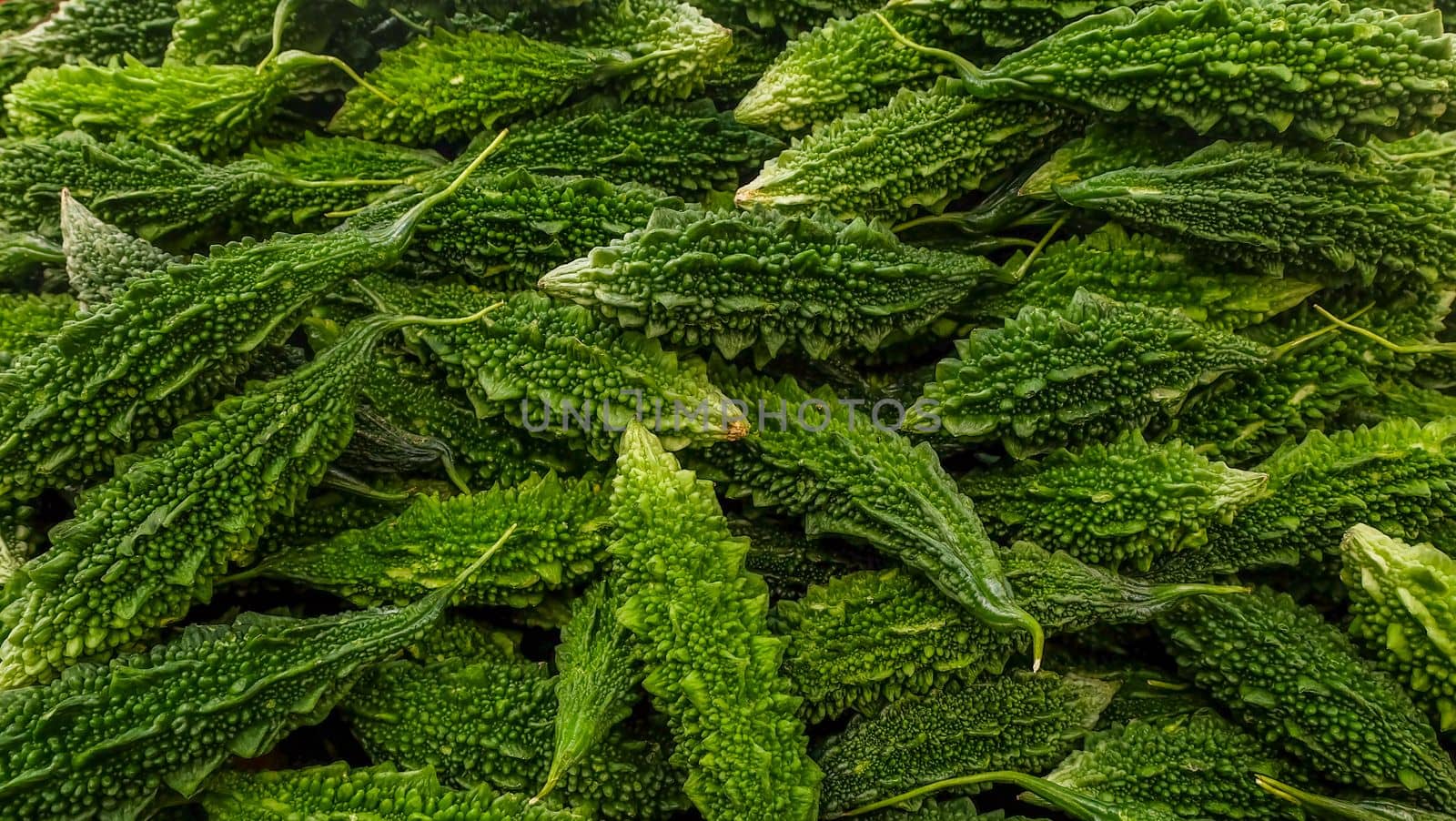 Green organic Bitter Melon, Momordica Charantiar Suitable for making background images.