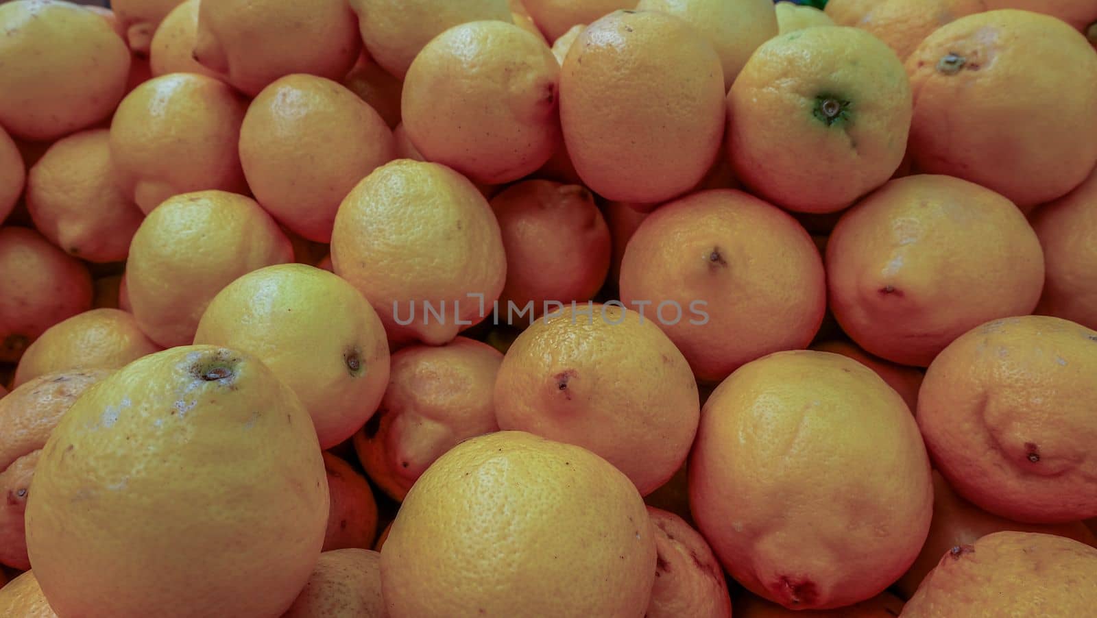 Grapefruit harvest. many grapefruit. grapefruits for food textures and backgrounds. Landscape. A backdrop of grapefruits. Street vegetable market