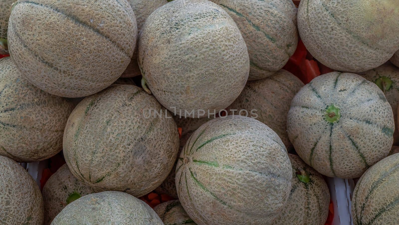 Melons on a counter - many small round melons with green stripes on rind.