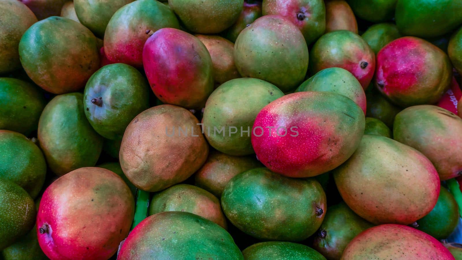Fresh colorful tropical brazil mangoes Suitable for making background images