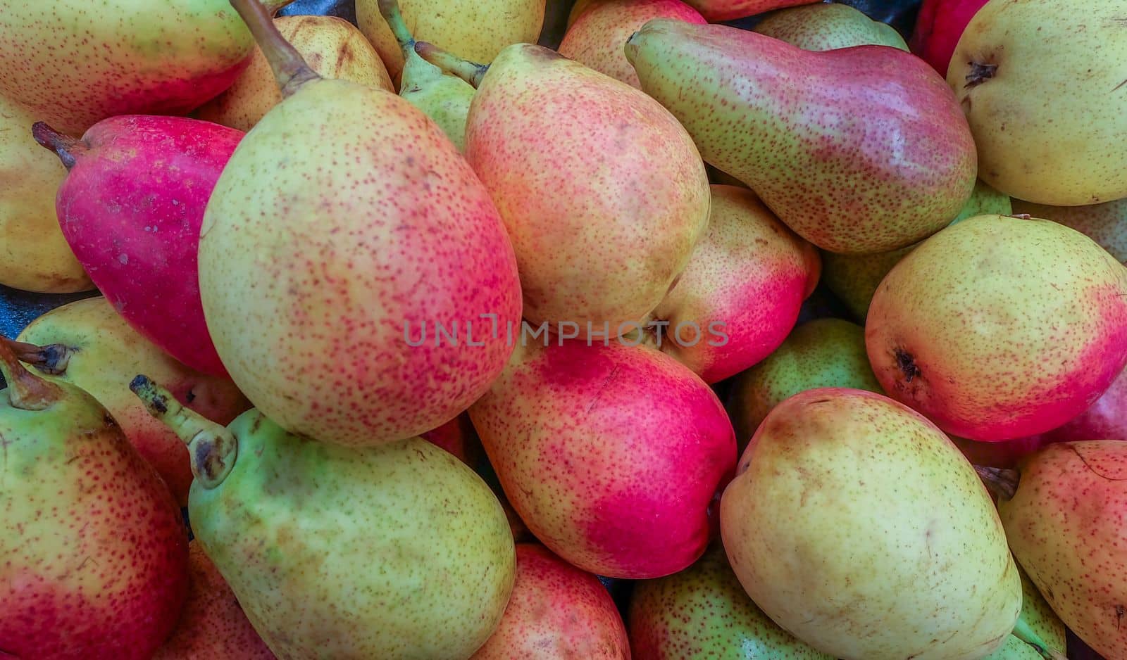 Many fresh ripe red yellow pear fruits as background, top view