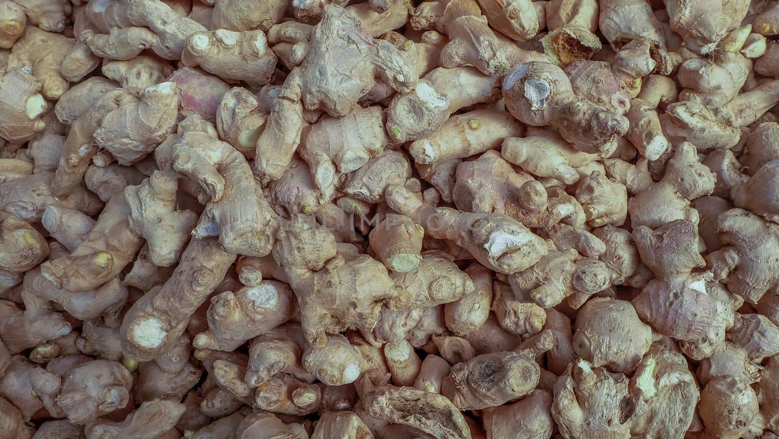 Fresh organic ginger on fresh market Suitable for making background images.