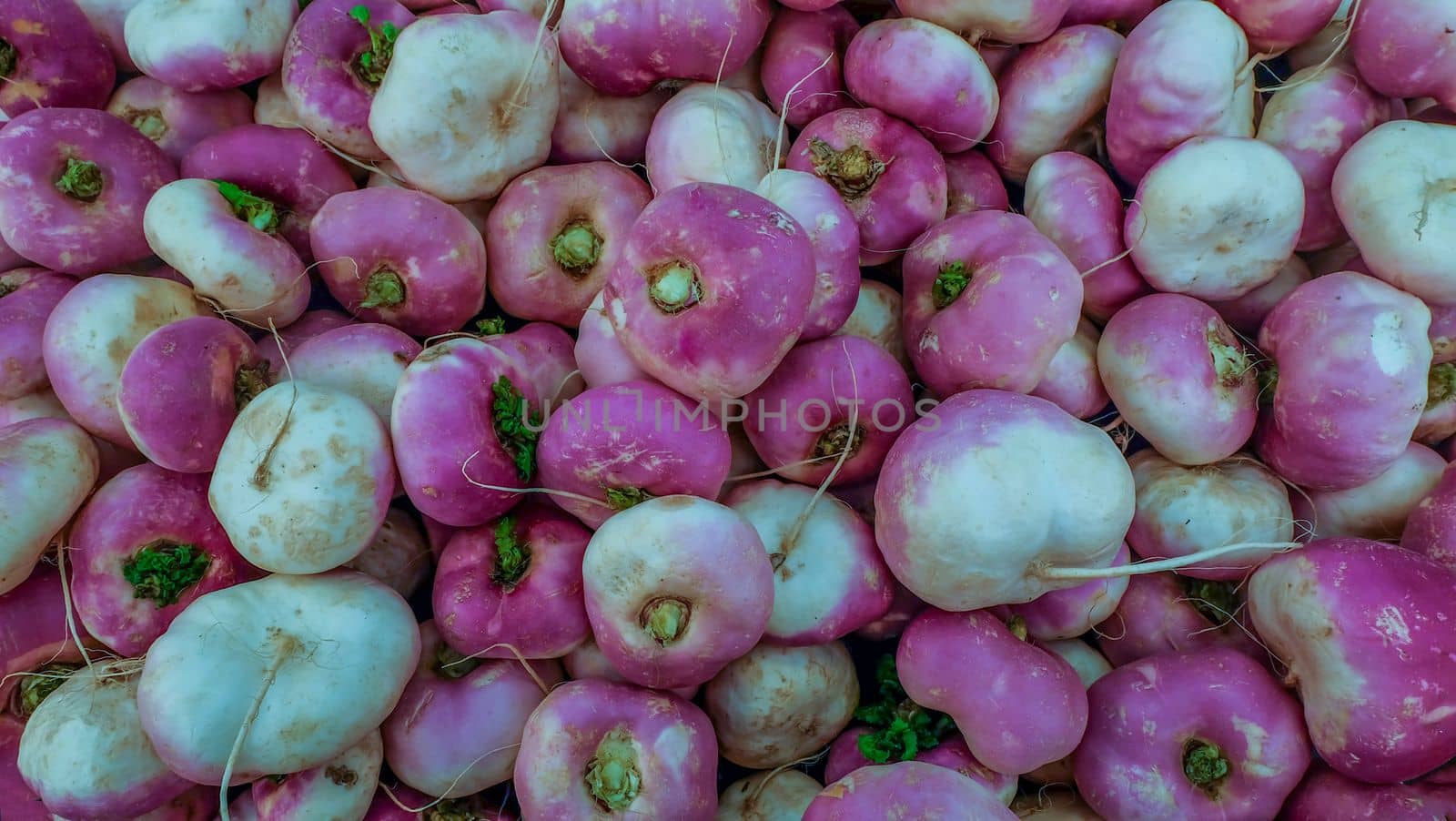 a bunch of loose turnips In market Suitable for making background images.