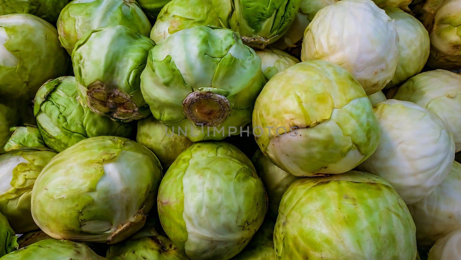 Close-up shots of green and white cabbage sold in the market Suitable for making background images.