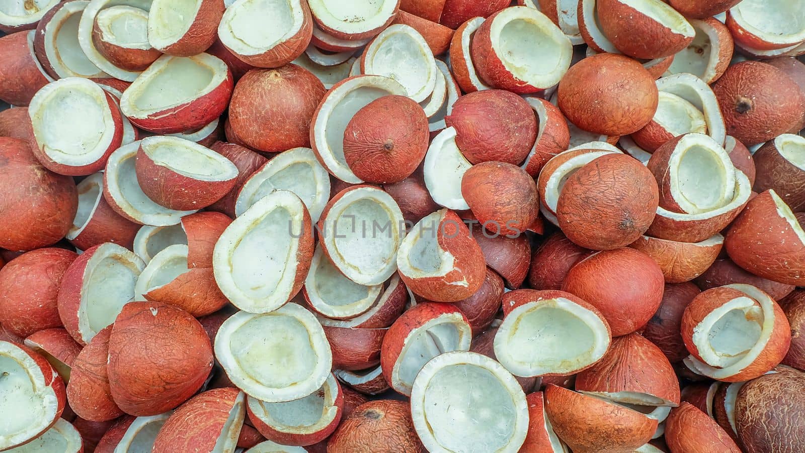 Pile of coconuts meat Half cut Suitable for making background images.