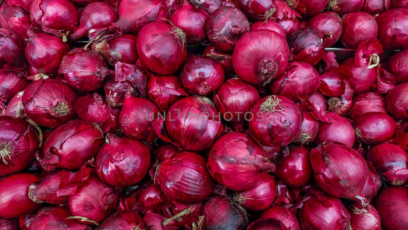 The new harvest onions red at local farm market, Fresh onions red. Onions red background. Ripe onions red.