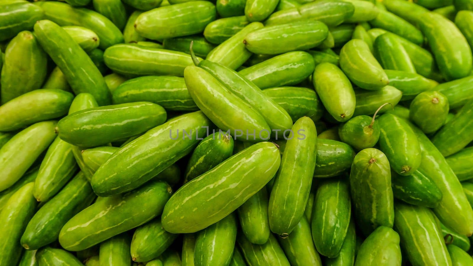 Raw Green Organic Tindora suitable for background images.