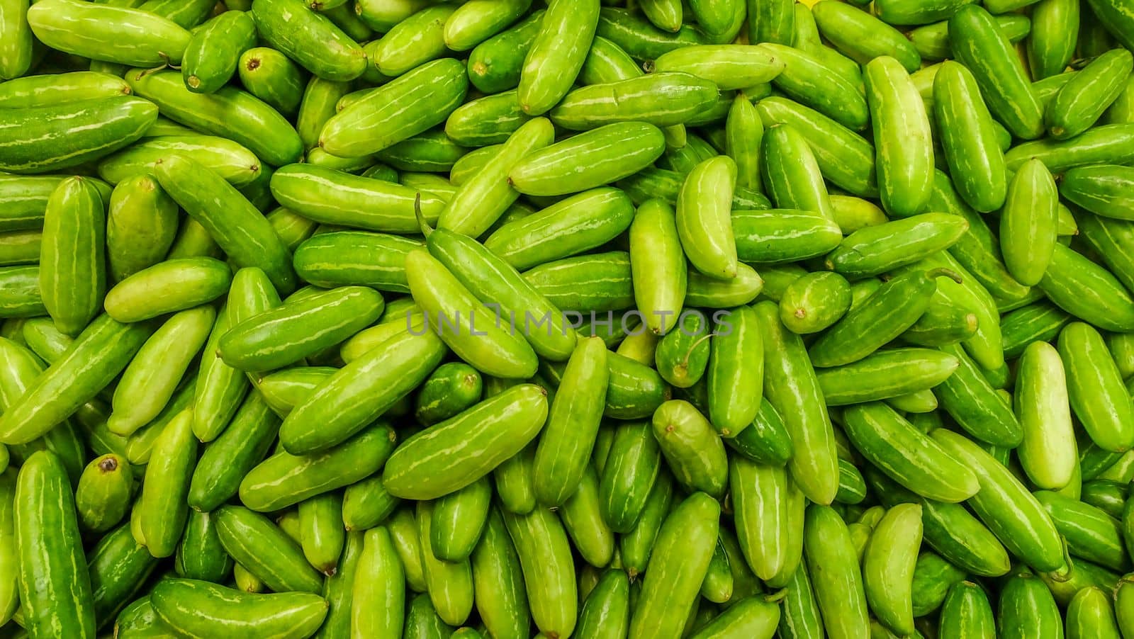 Raw Green Organic Tindora suitable for background images.