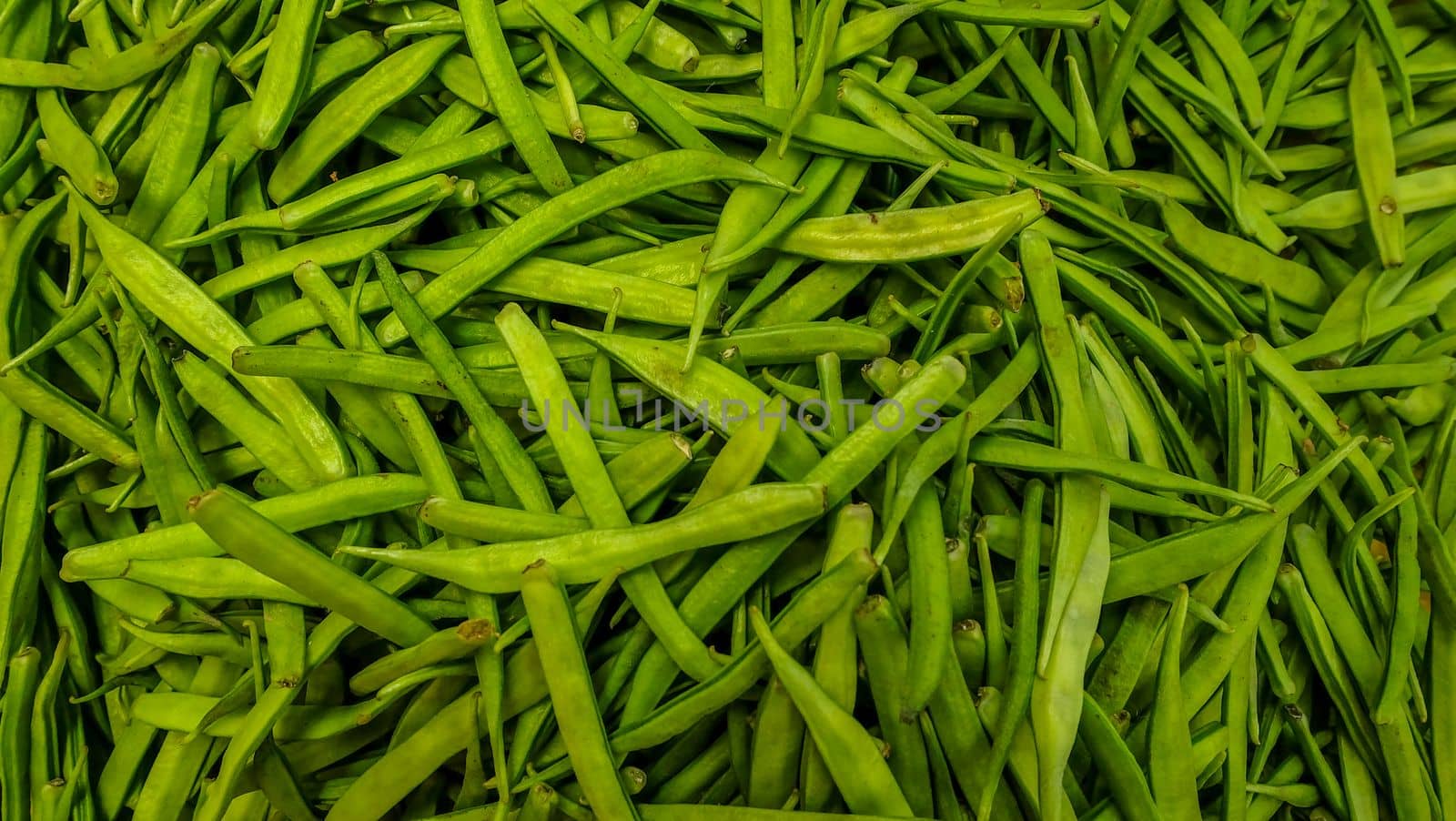 Guar or Cluster Bean Also Known as Gavar, Guwar or Guvar Bean suitable for background images