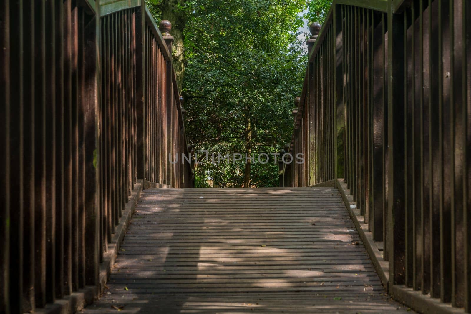 Wooden bridge over the creek in a peaceful garden.