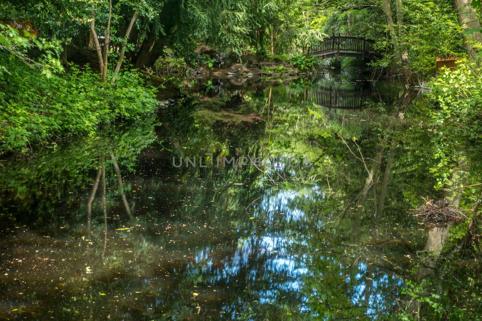 arched wooden bridge over ornamental garden pond, beautiful