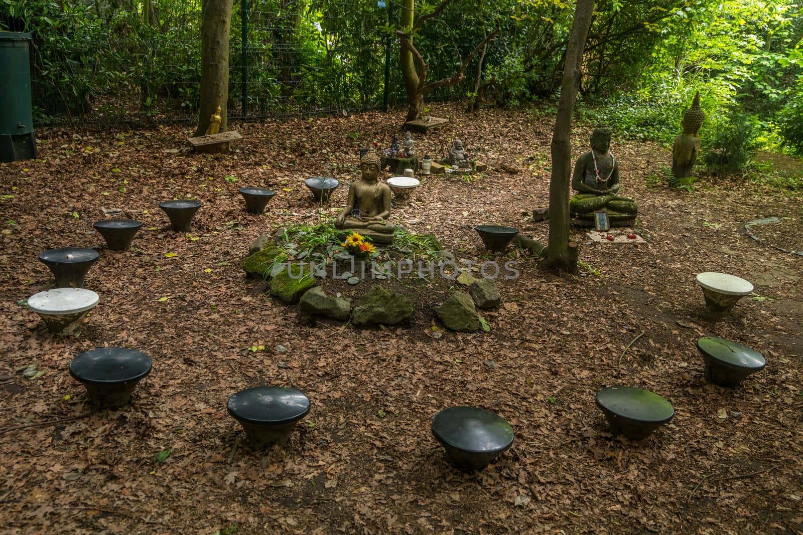 Buddha statue located in the forest park Shady and quiet Suitable for meditation.