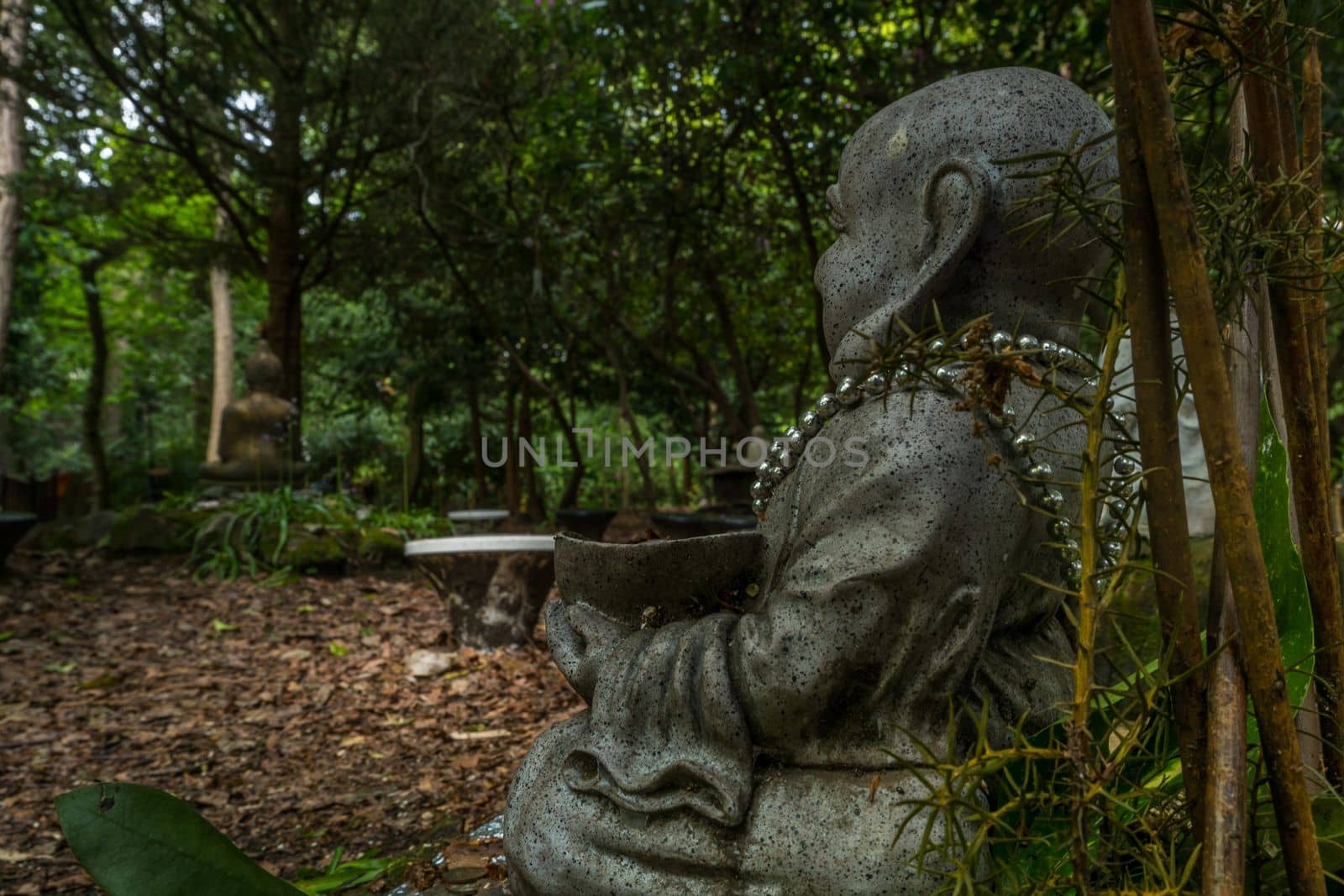 Chinese Buddha statue Located in a forest park Calm and shady.