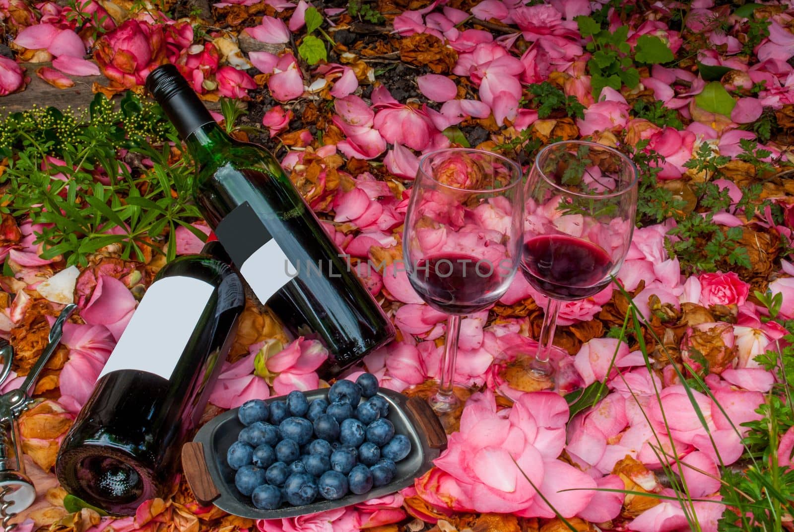 bottles, wine glasses with blueberry in rose garden.