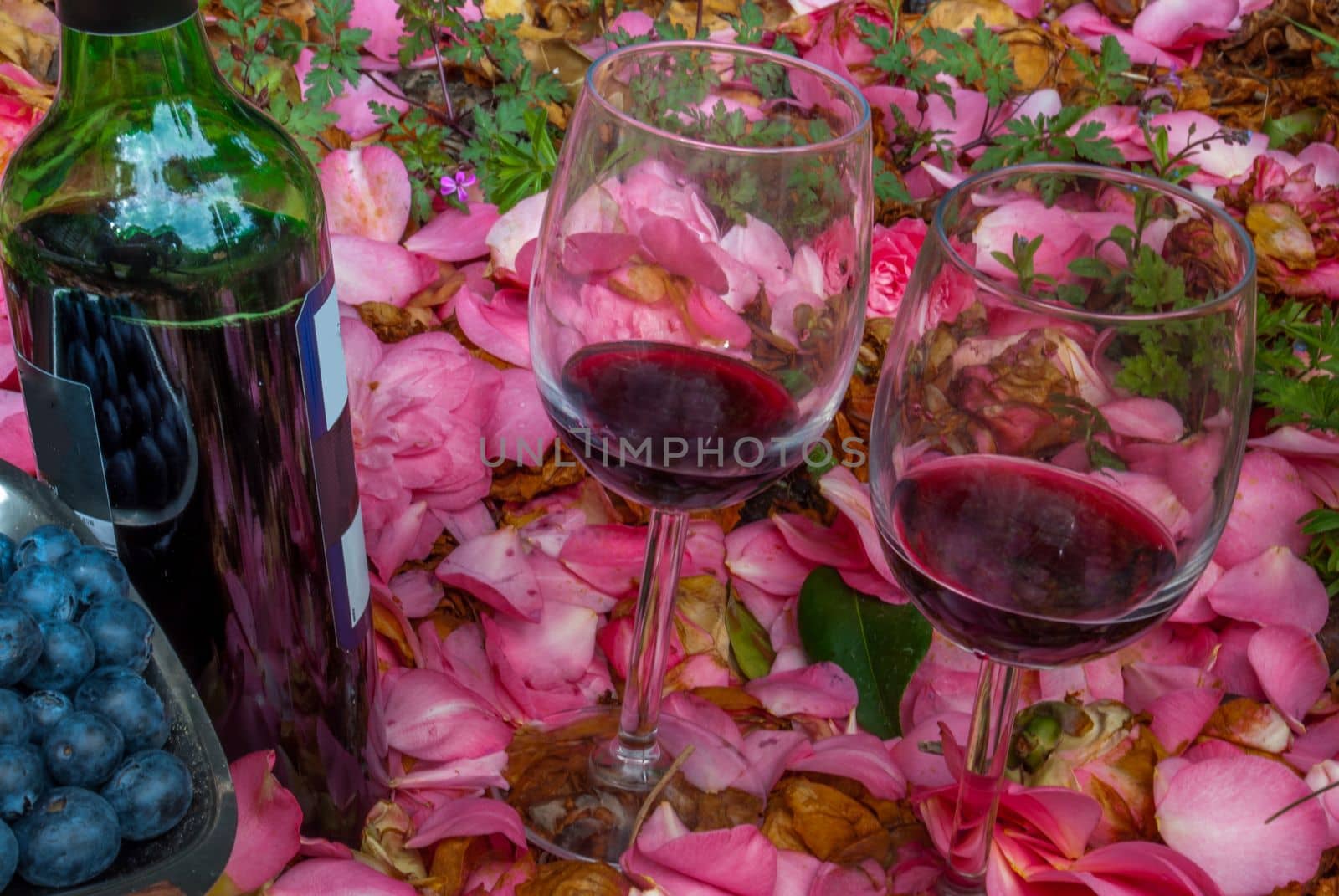 bottle, wine glasses with blueberry in rose garden.