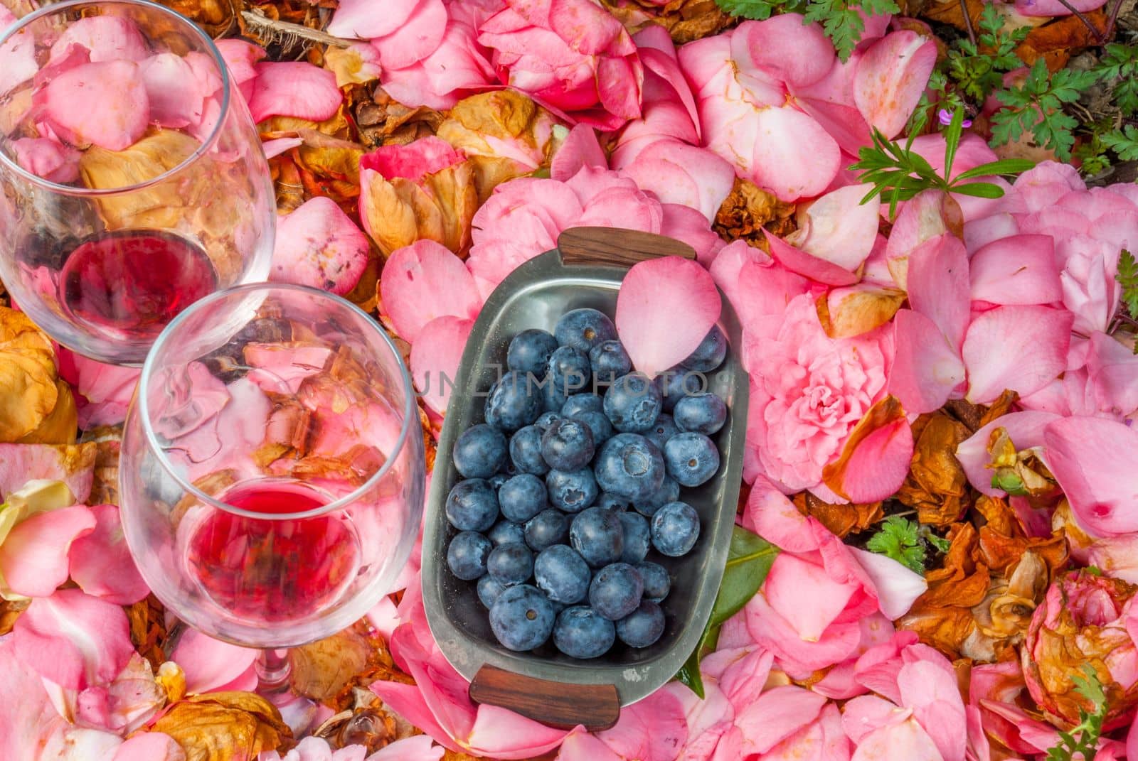 Wine glasses with blueberry in rose garden.